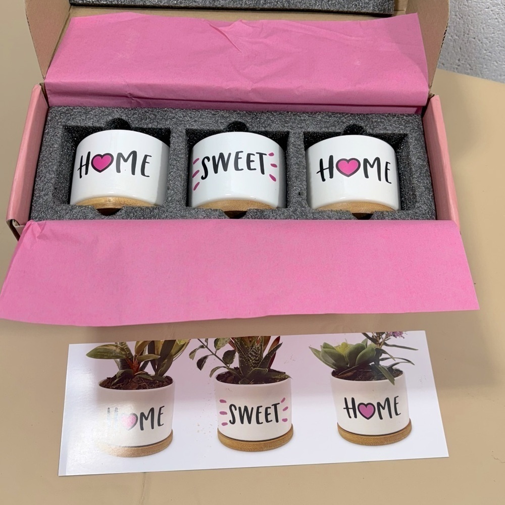 NWT Giftagirl three succulents/plants holder set​​​​​​​​